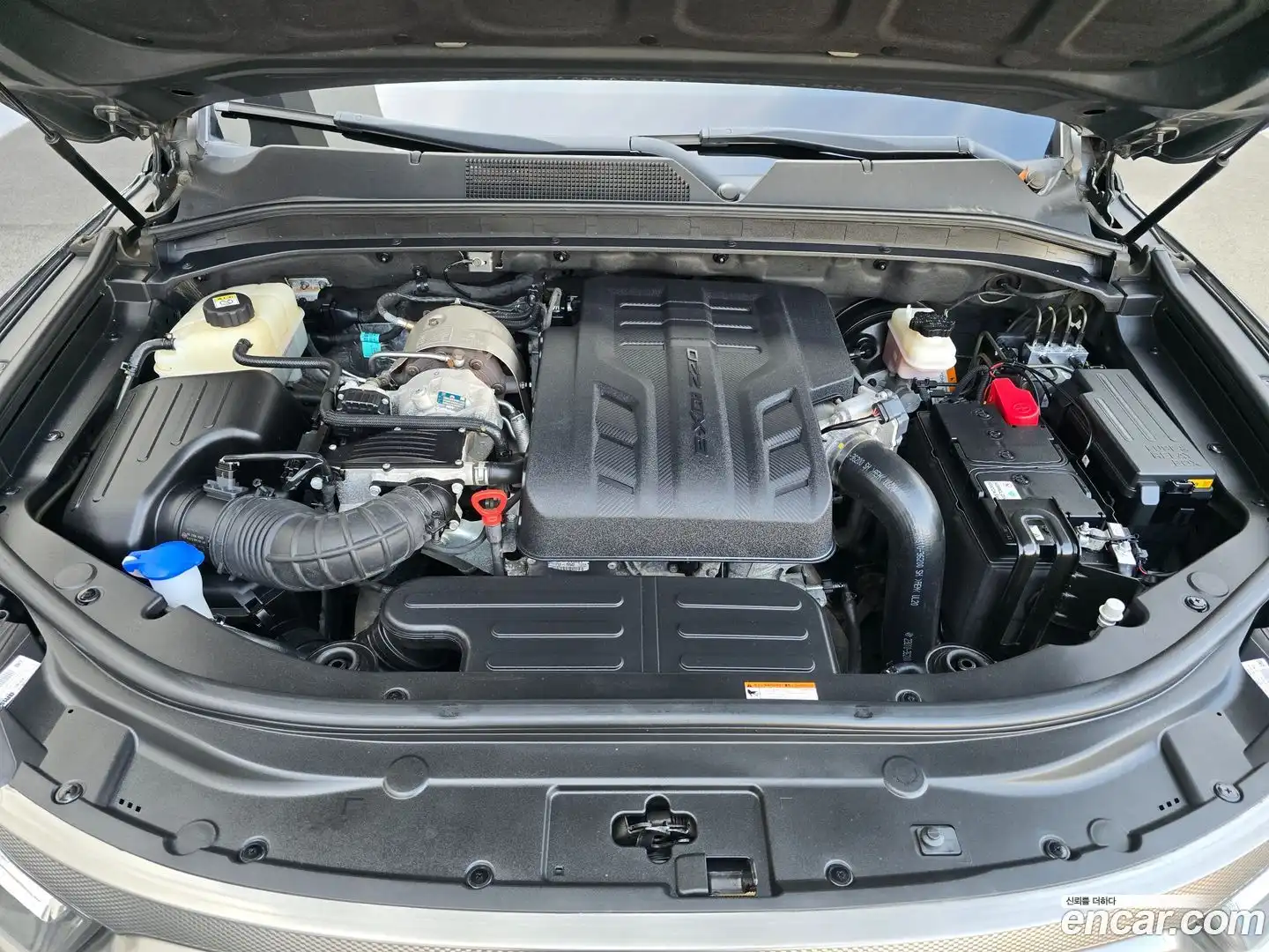 Rexton KG Mobility 2022.0-OUTER-006