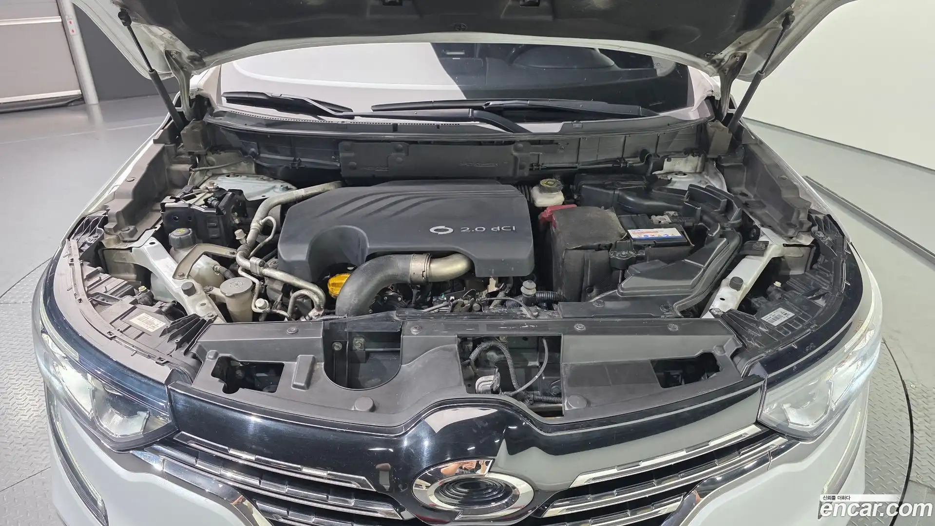 QM6 Renault Korea 2018.4-OUTER-006