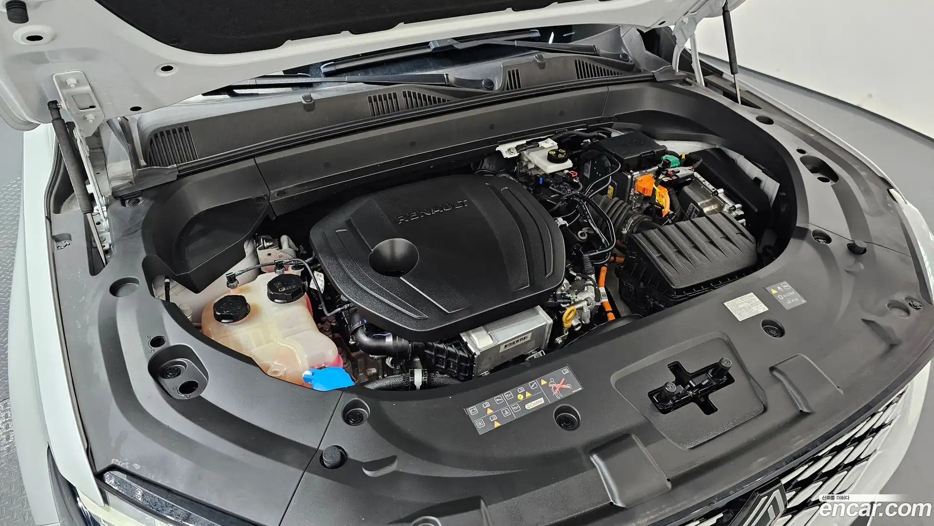Grand Koleos Renault Korea 2024.8-OUTER-006