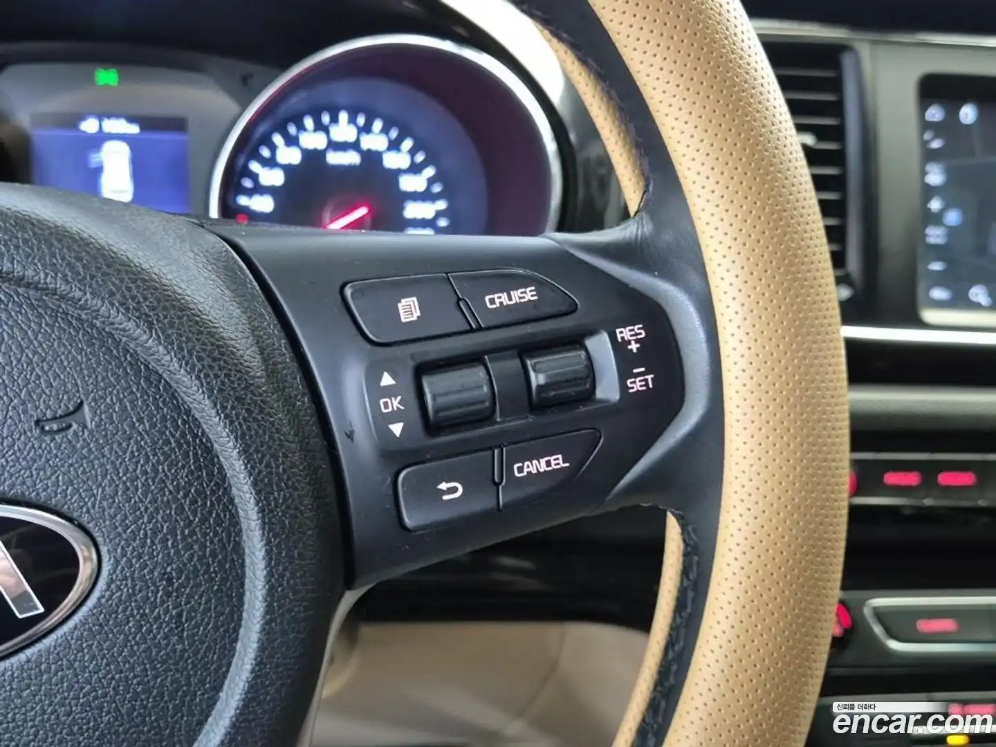 Canival Kia 2019.4-OPTION-020