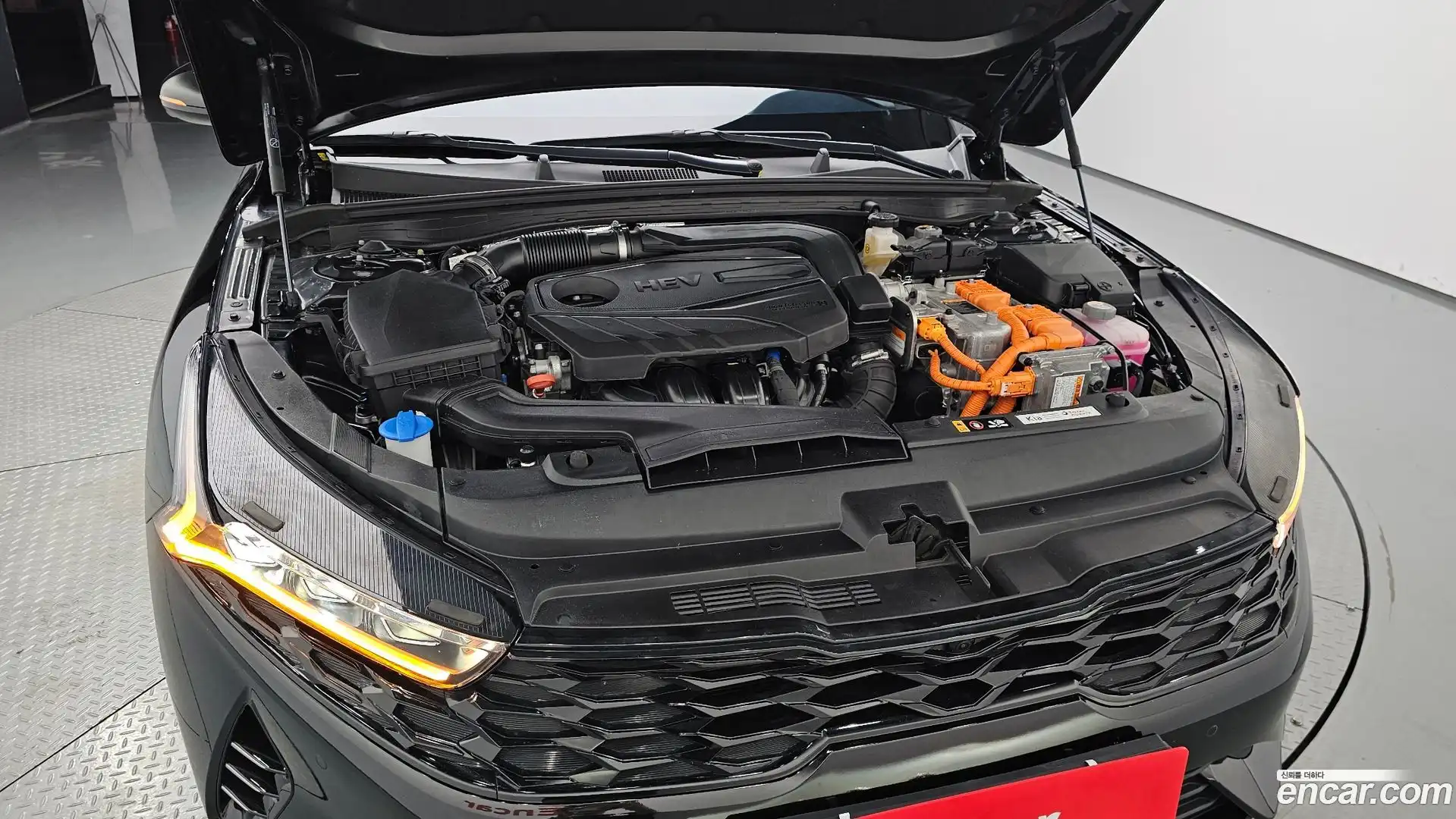K5 Kia 2023.5-OUTER-006