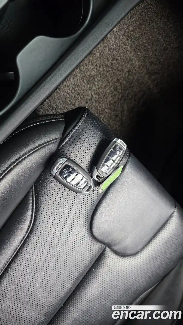 Santafe Hyundai 2018.4-OPTION-046