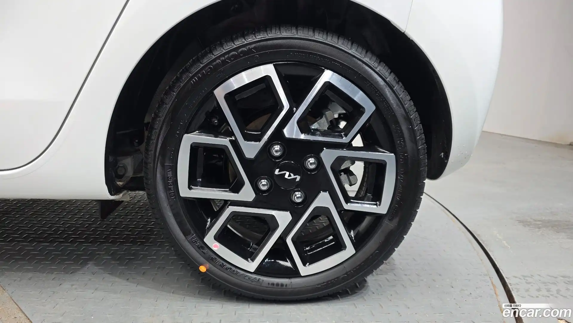 RAY Kia 2025.9-OUTER-031
