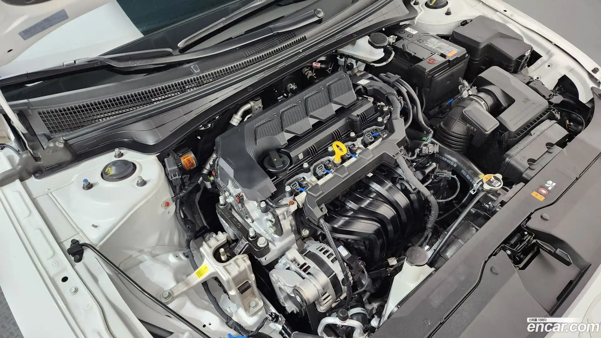 AVANTE Hyundai 2025.10-OUTER-006