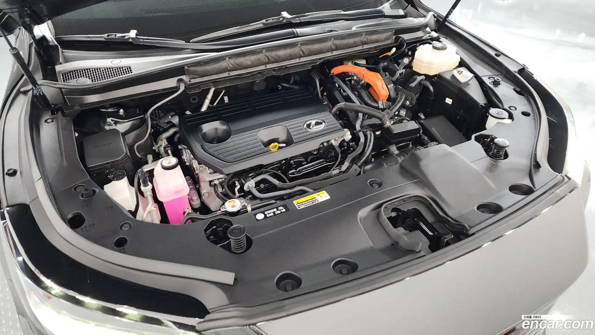 RX Lexus 2023.5-OUTER-006