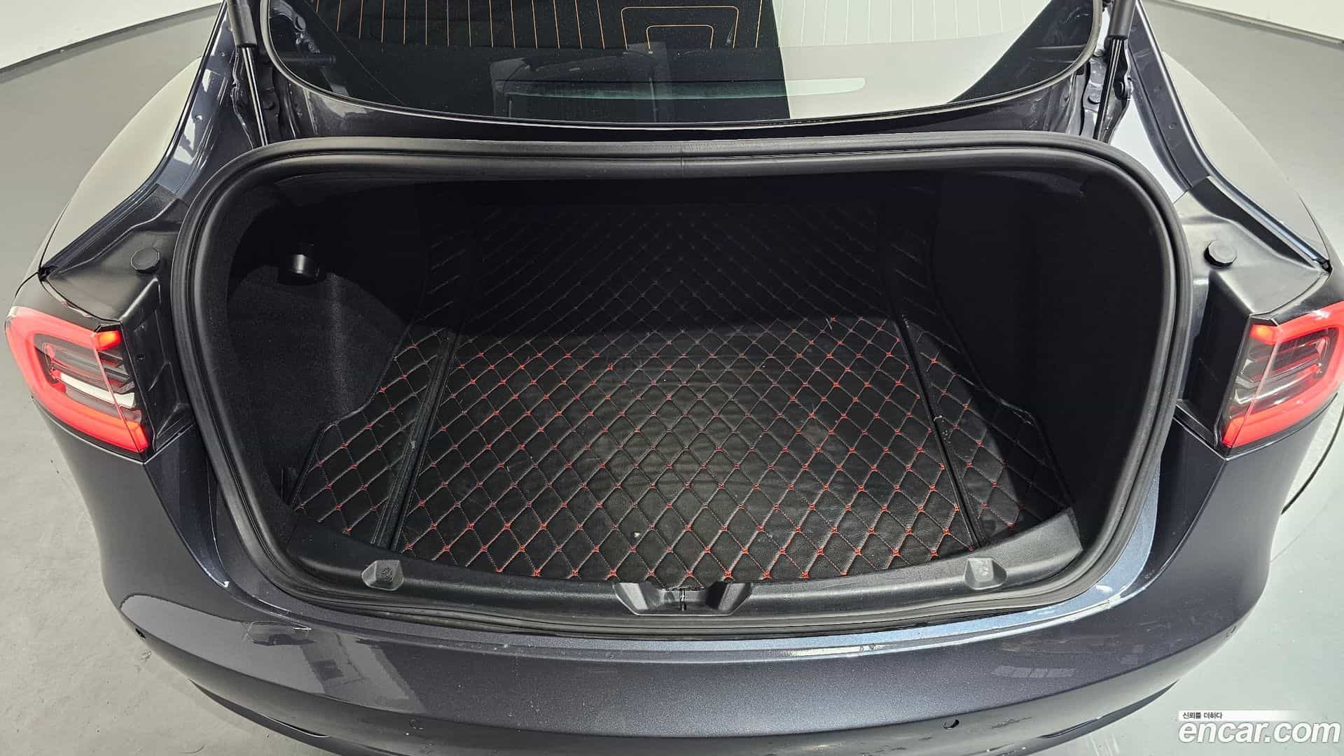 Model 3 Tesla 2020.5-OPTION-023