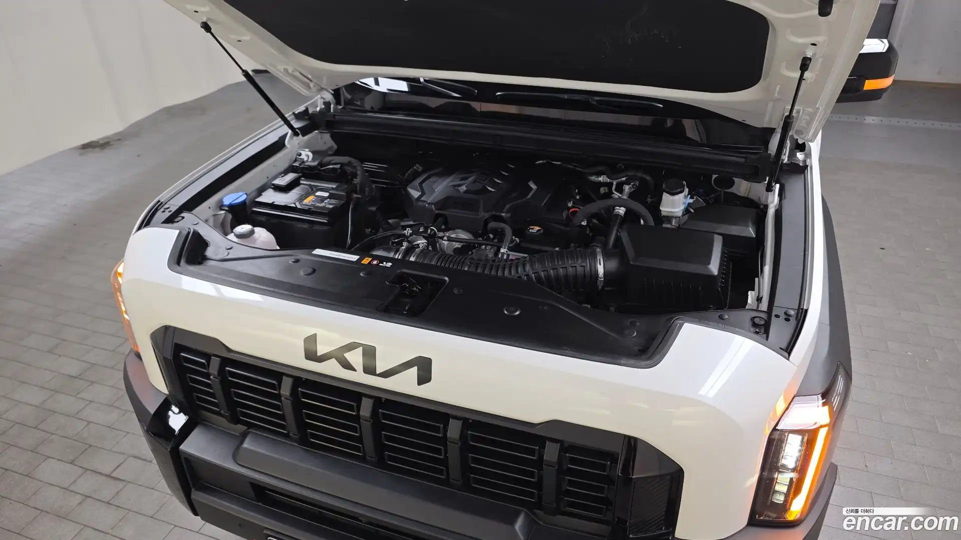 Tasman Kia 2025.2-OUTER-006