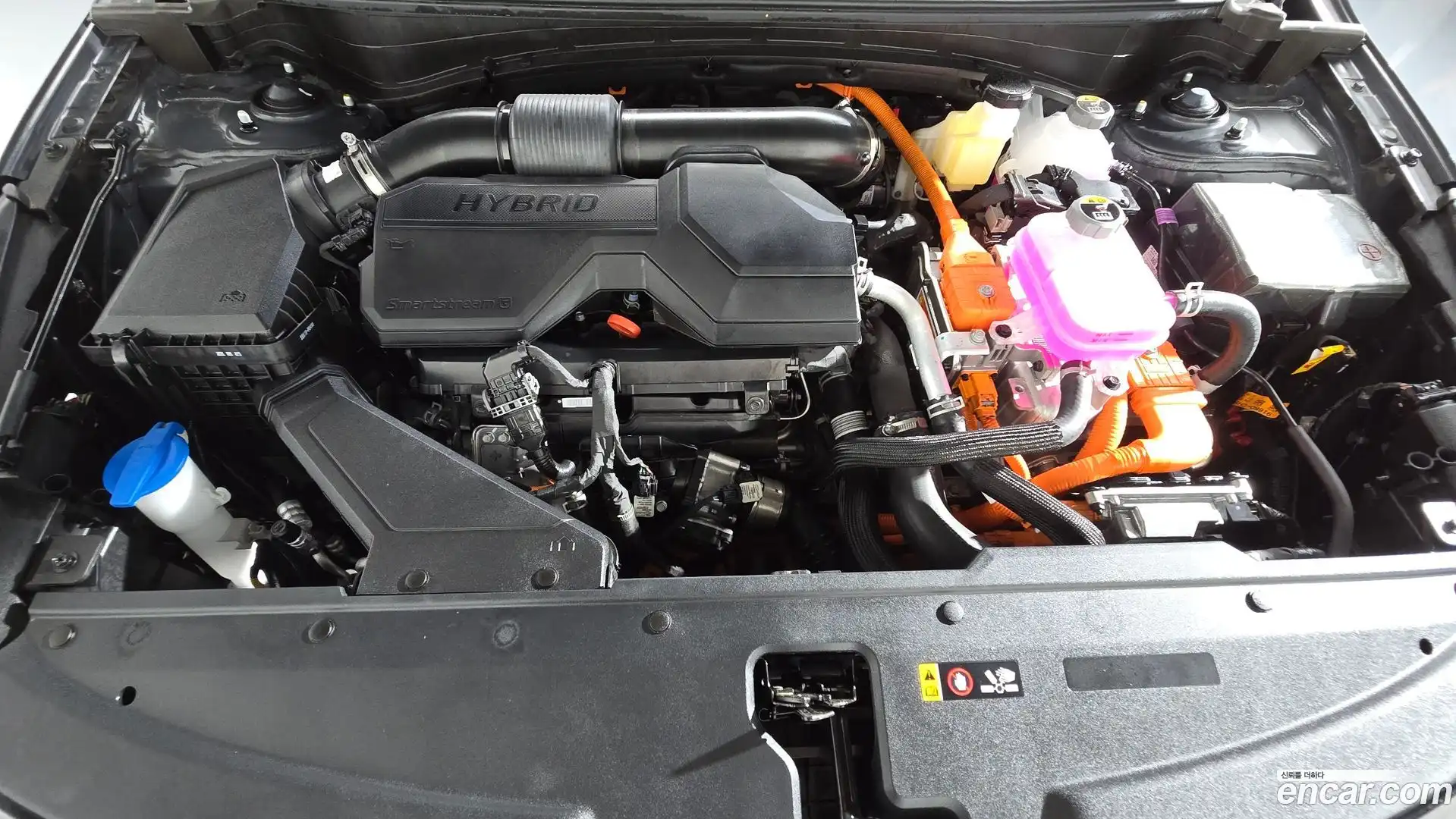 Sportage Kia 2025.5-OUTER-006