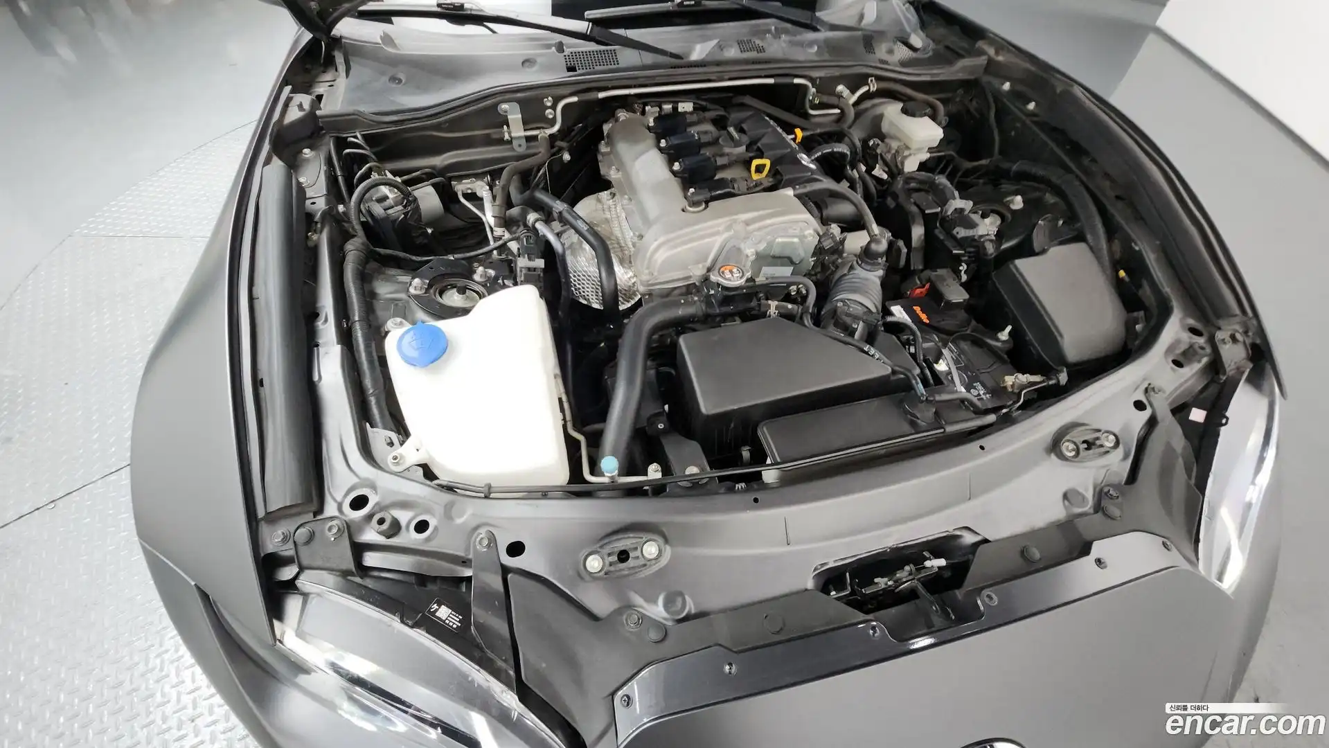 MX-5 Miata Mazda 2019.11-OUTER-006