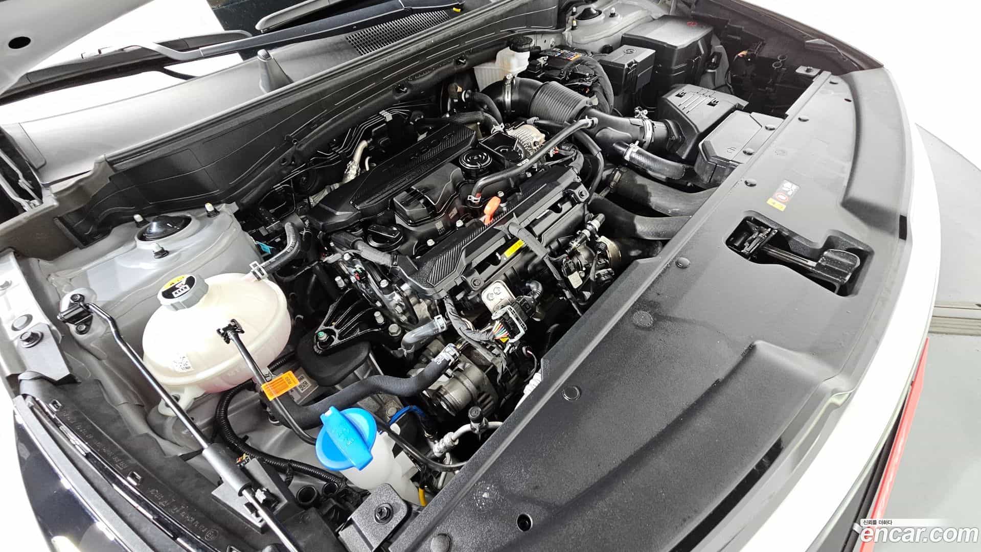Sportage Kia 2025.0-OUTER-006