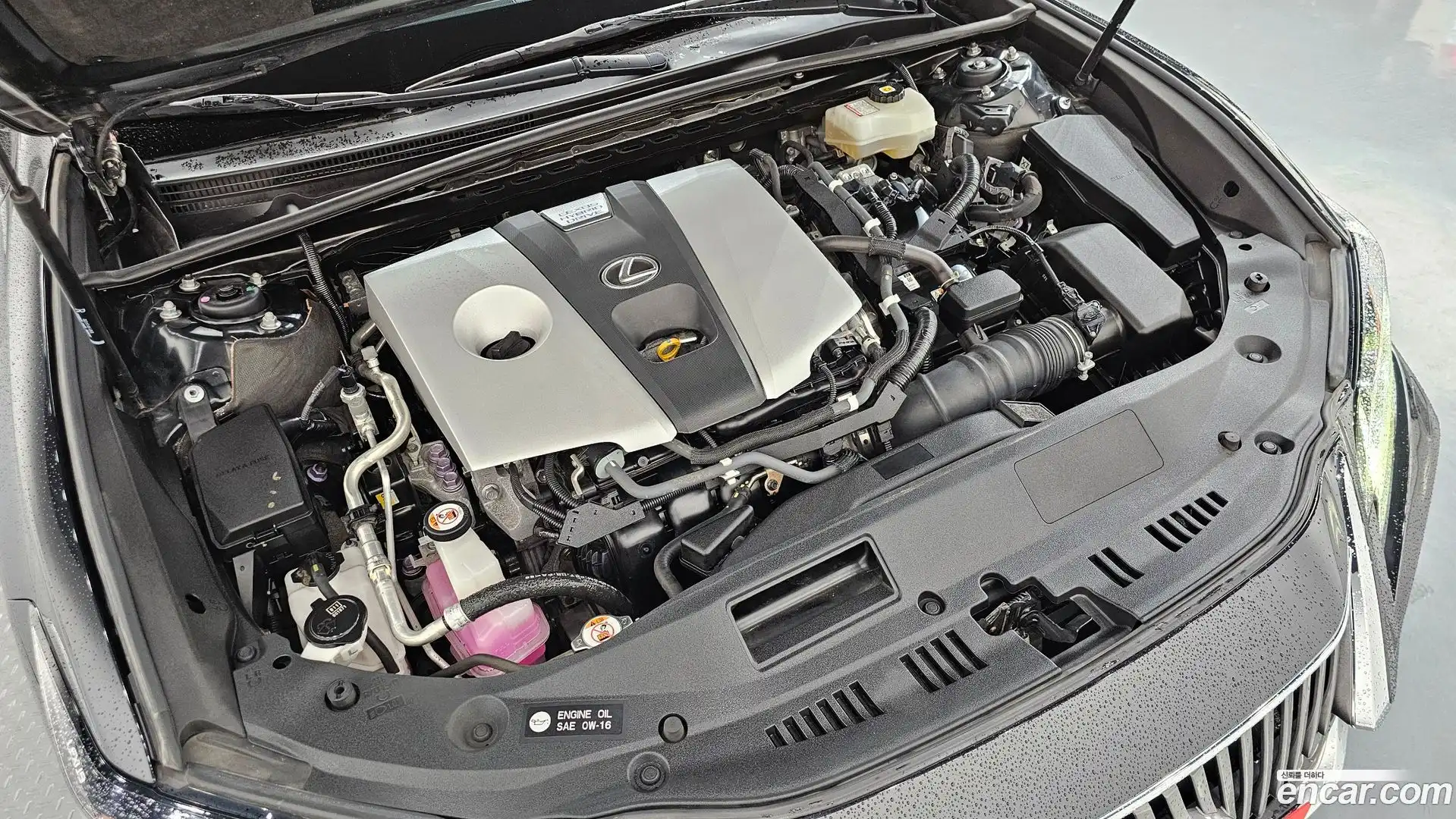 ES Lexus 2021.1-OUTER-006