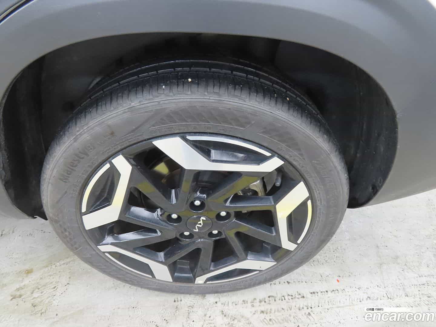 Seltos Kia 2022.8-OPTION-024
