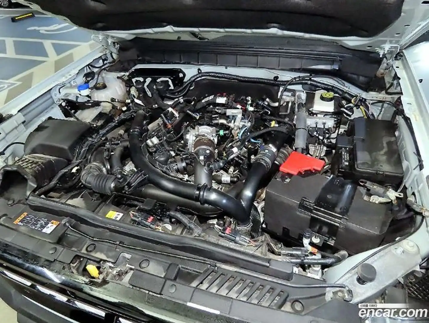 Bronco Ford 2022.4-OPTION-023