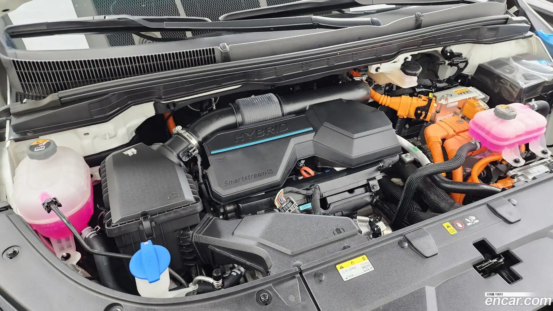 Canival Kia 2024.6-OUTER-006