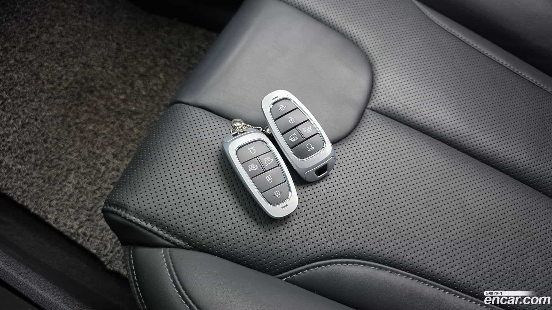 Santafe Hyundai 2022.6-OPTION-022