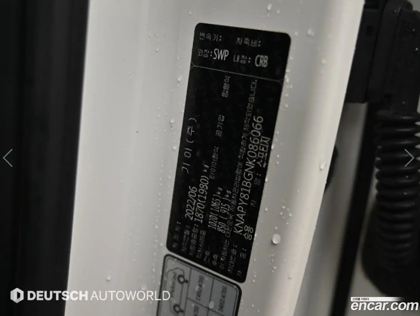 Sportage Kia 2022.5-OPTION-024