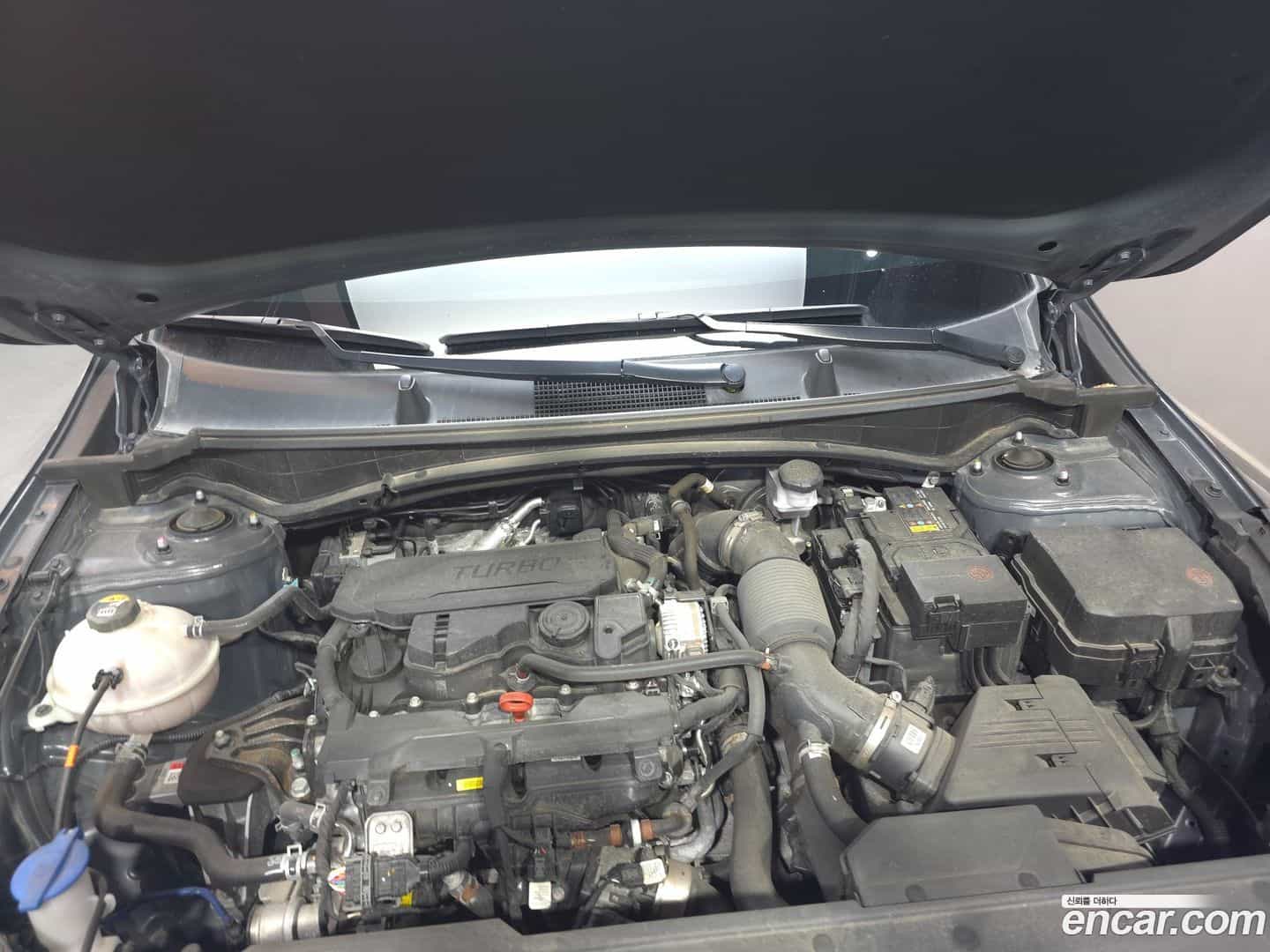 Sportage Kia 2024.1-OUTER-006