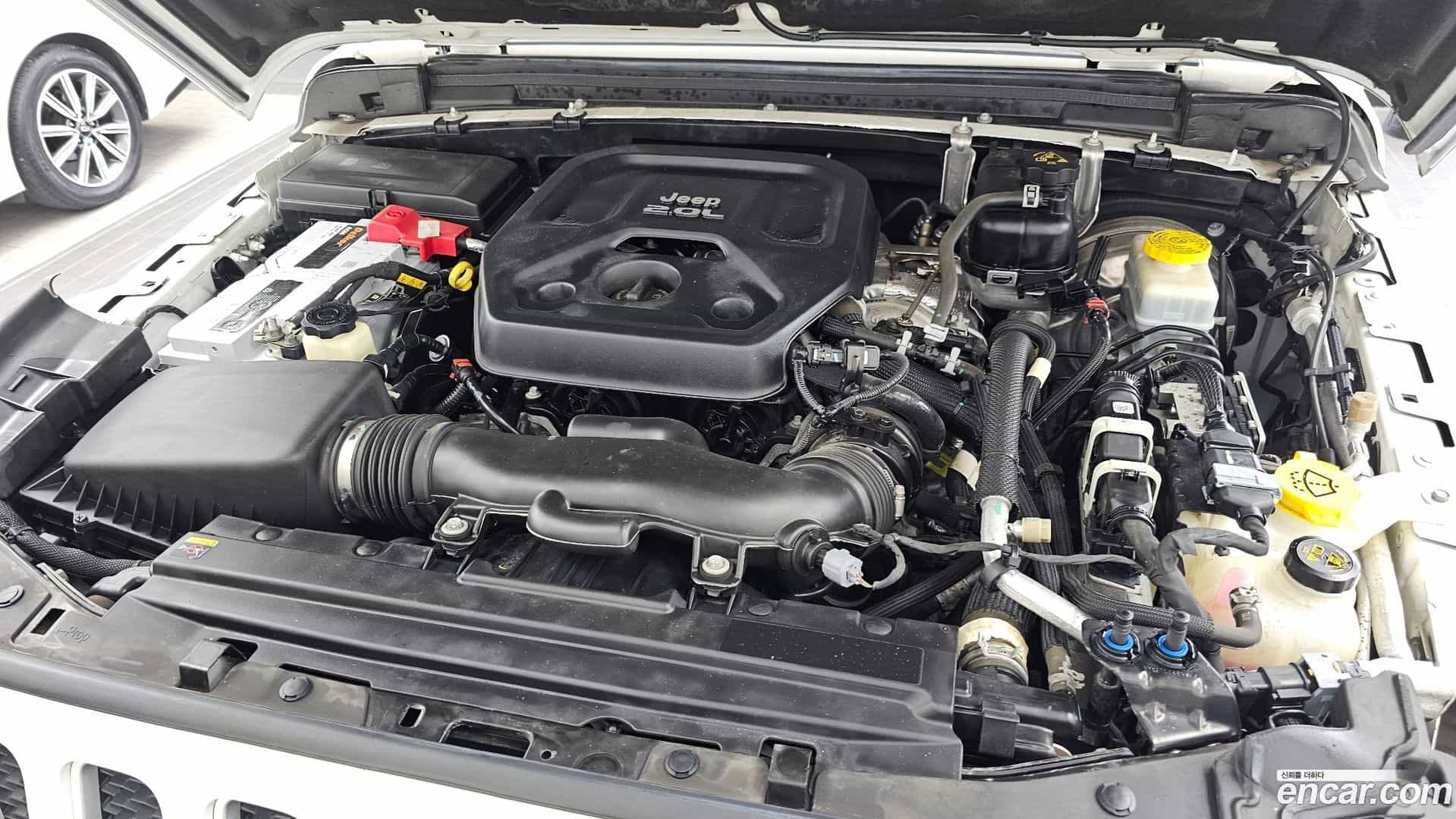 Wrangler Jeep 2022.2-OUTER-006
