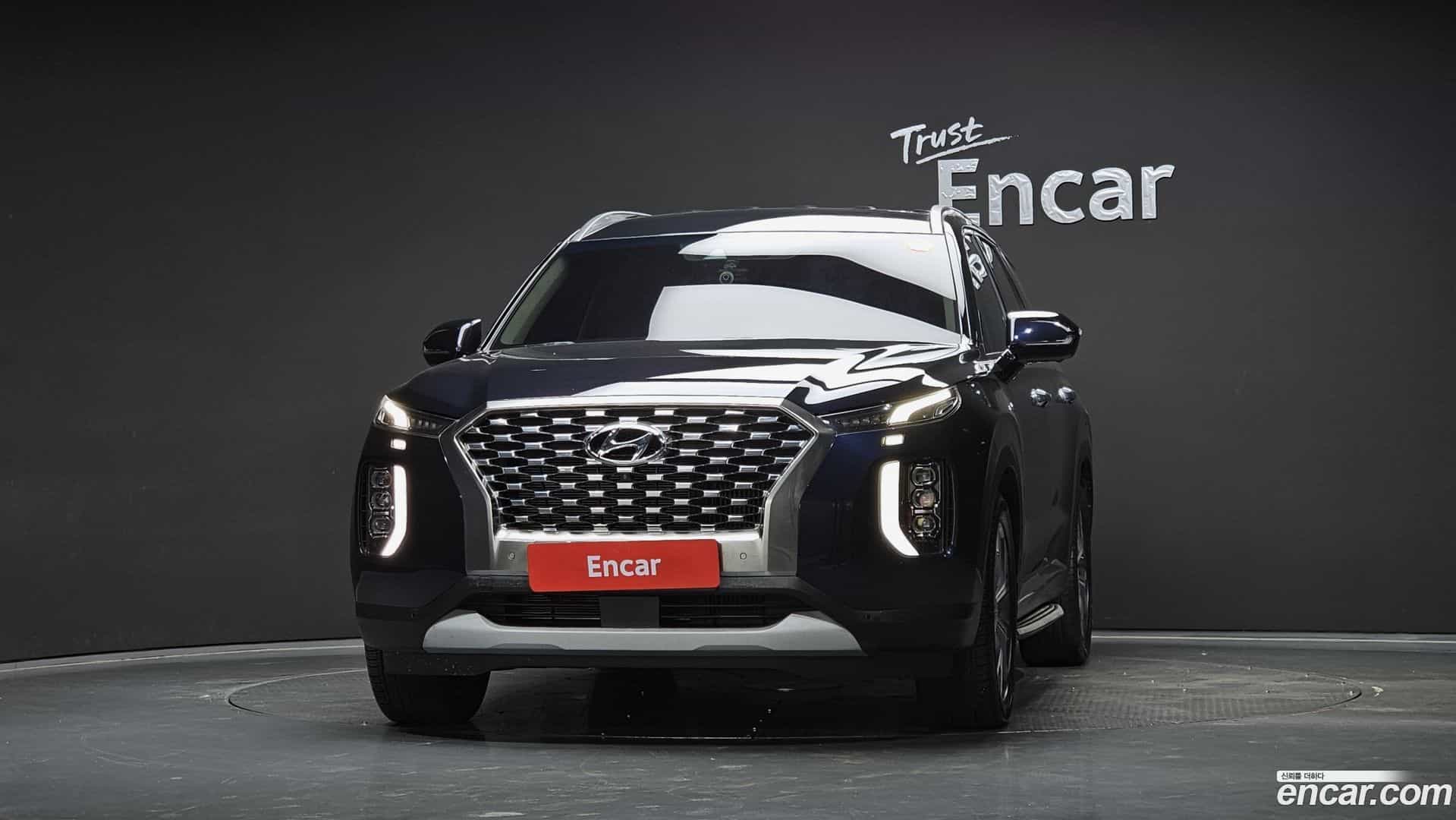 Palisade Hyundai 2019.6-OUTER-003