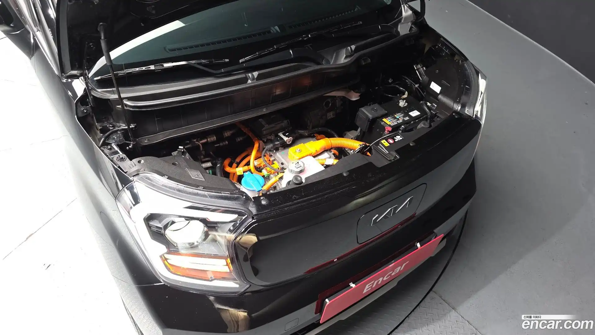 RAY Kia 2024.4-OUTER-006