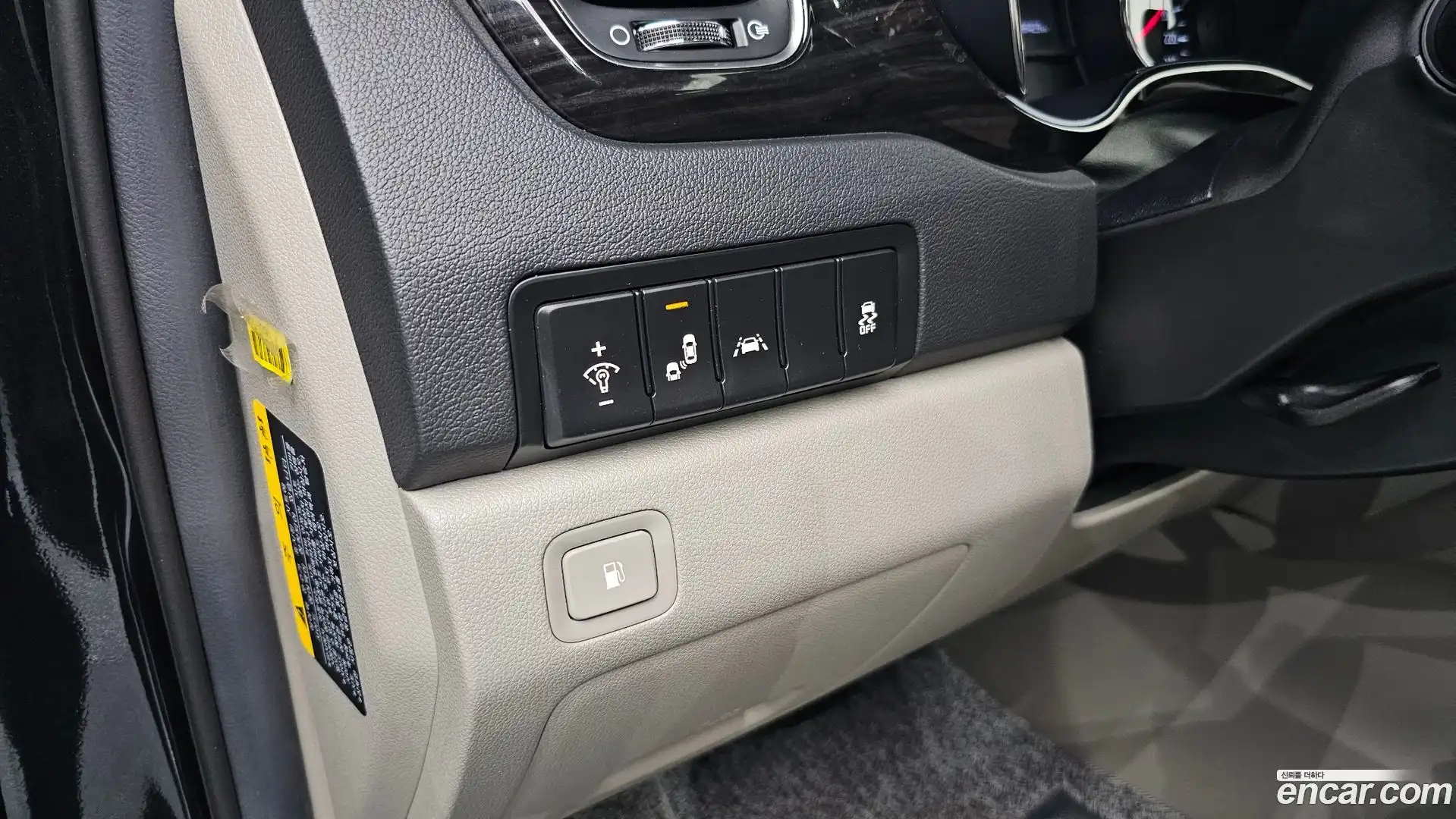 Canival Kia 2018.6-OPTION-041