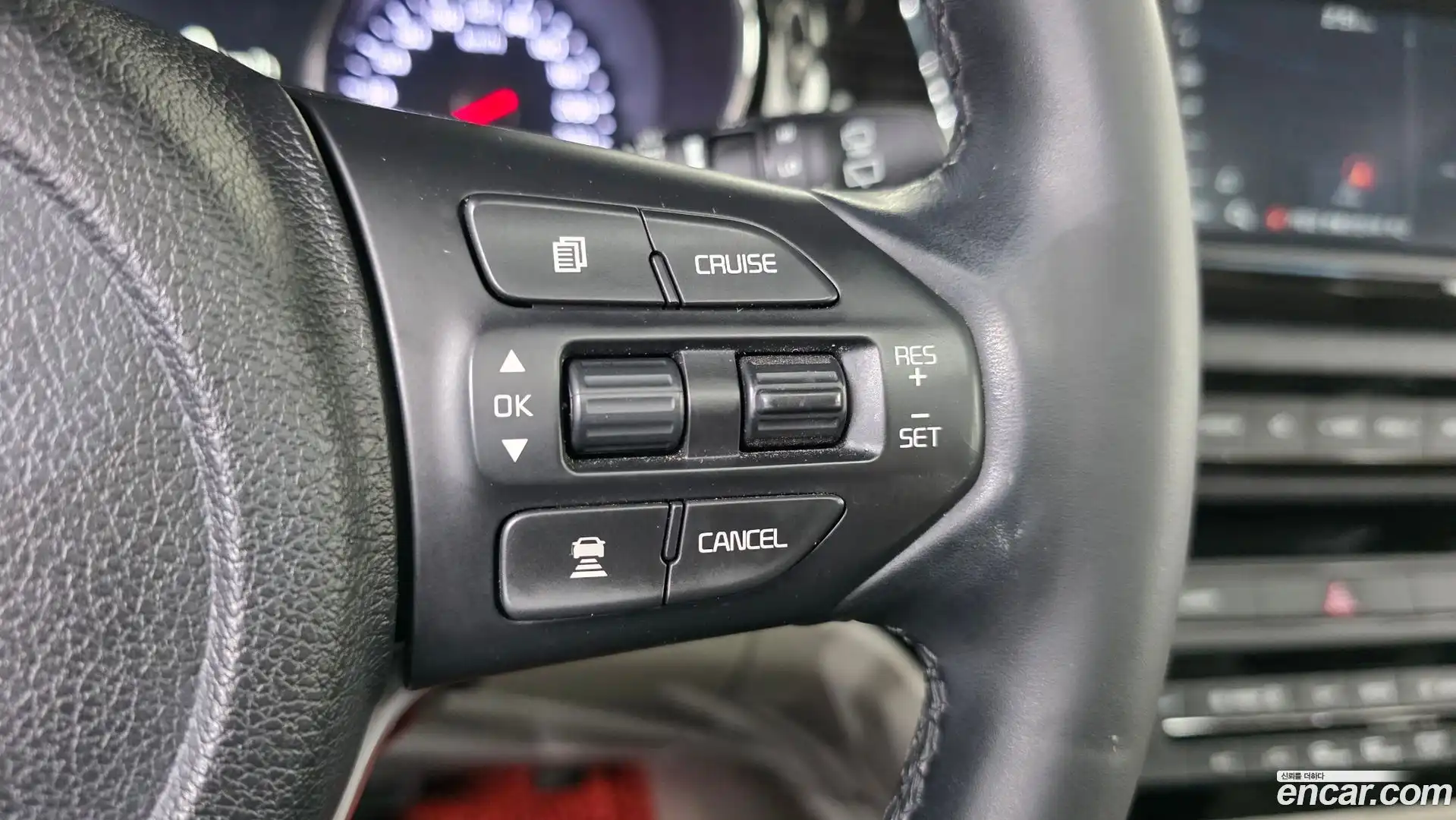 Canival Kia 2019.6-OPTION-021