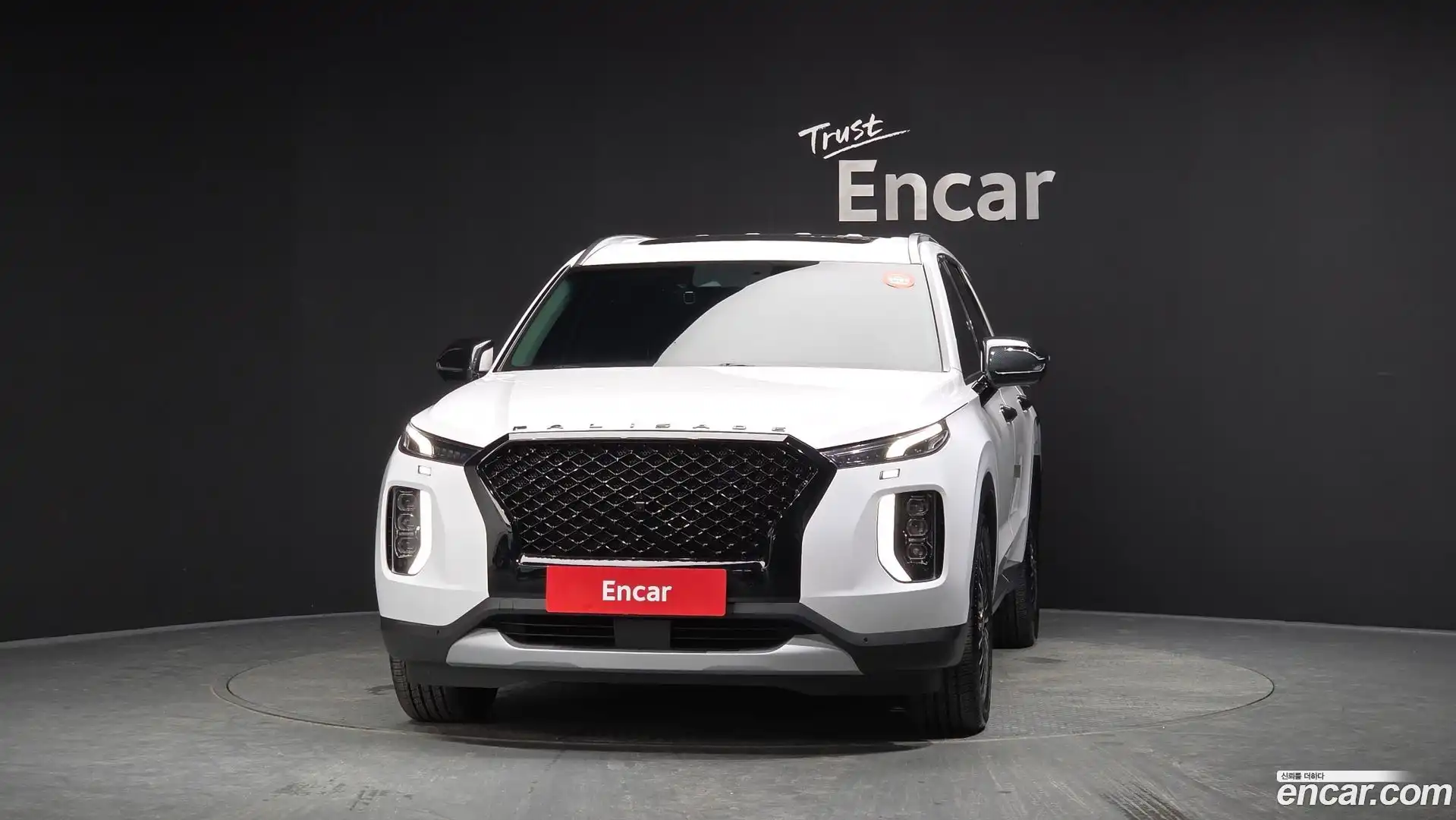 Palisade Hyundai 2019.9-OUTER-003