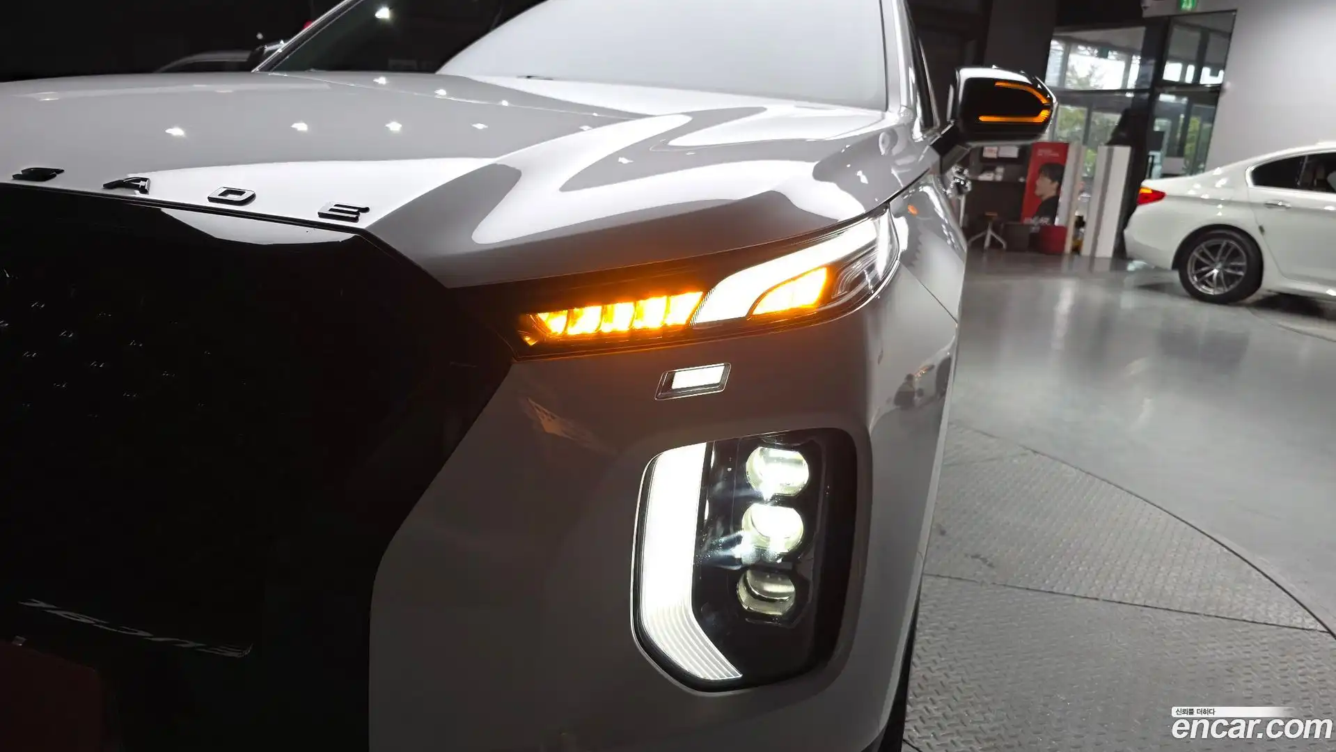 Palisade Hyundai 2019.9-OUTER-032