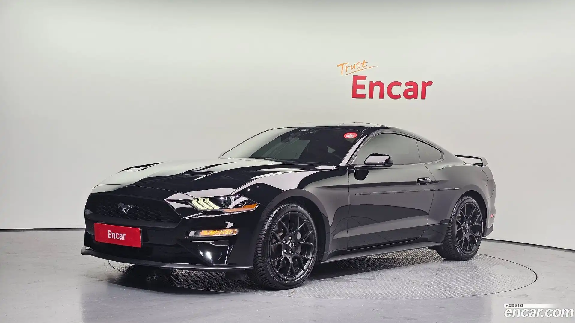 Mustang Ford 2022.7-OUTER-001