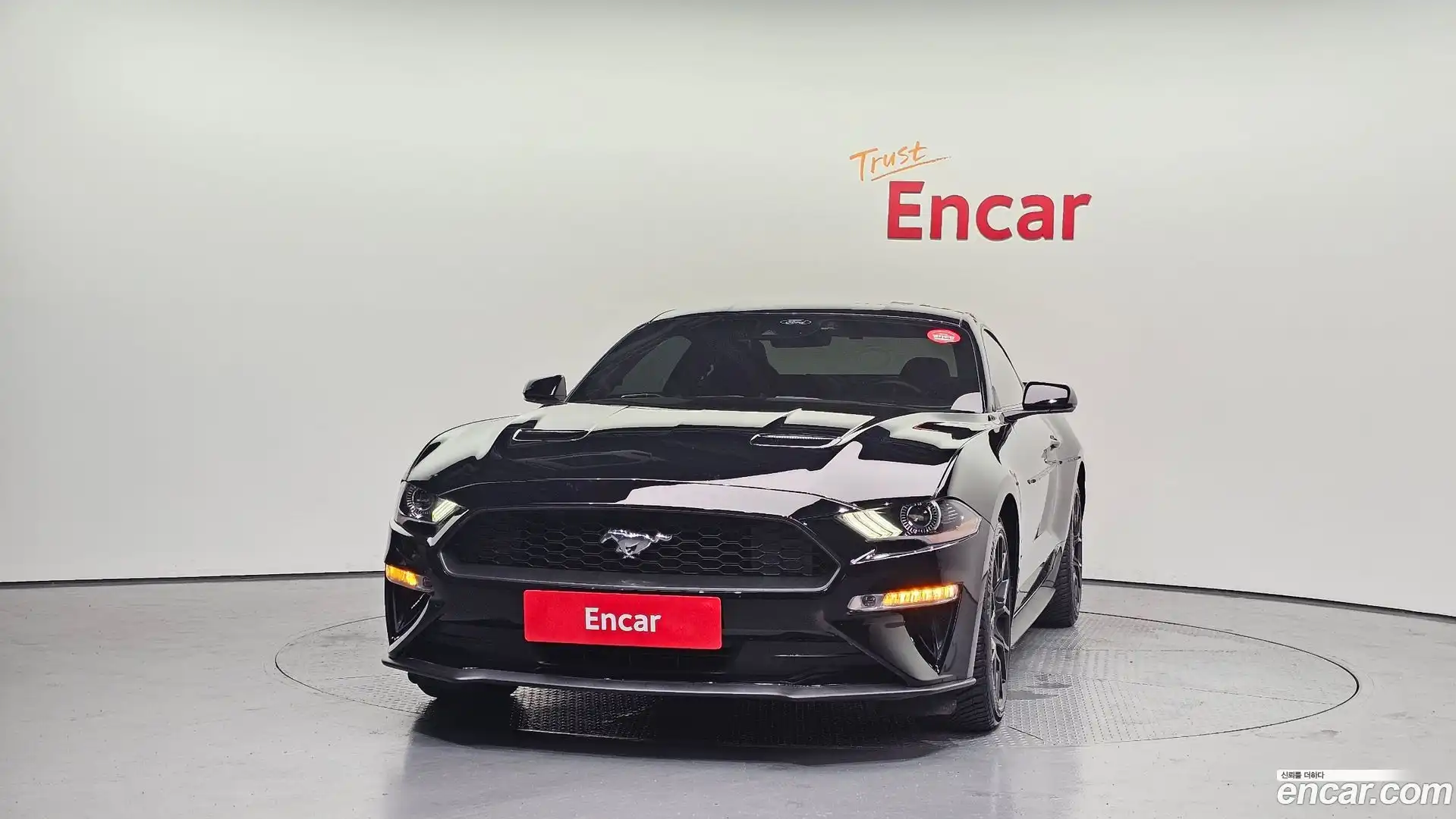 Mustang Ford 2022.7-OUTER-003
