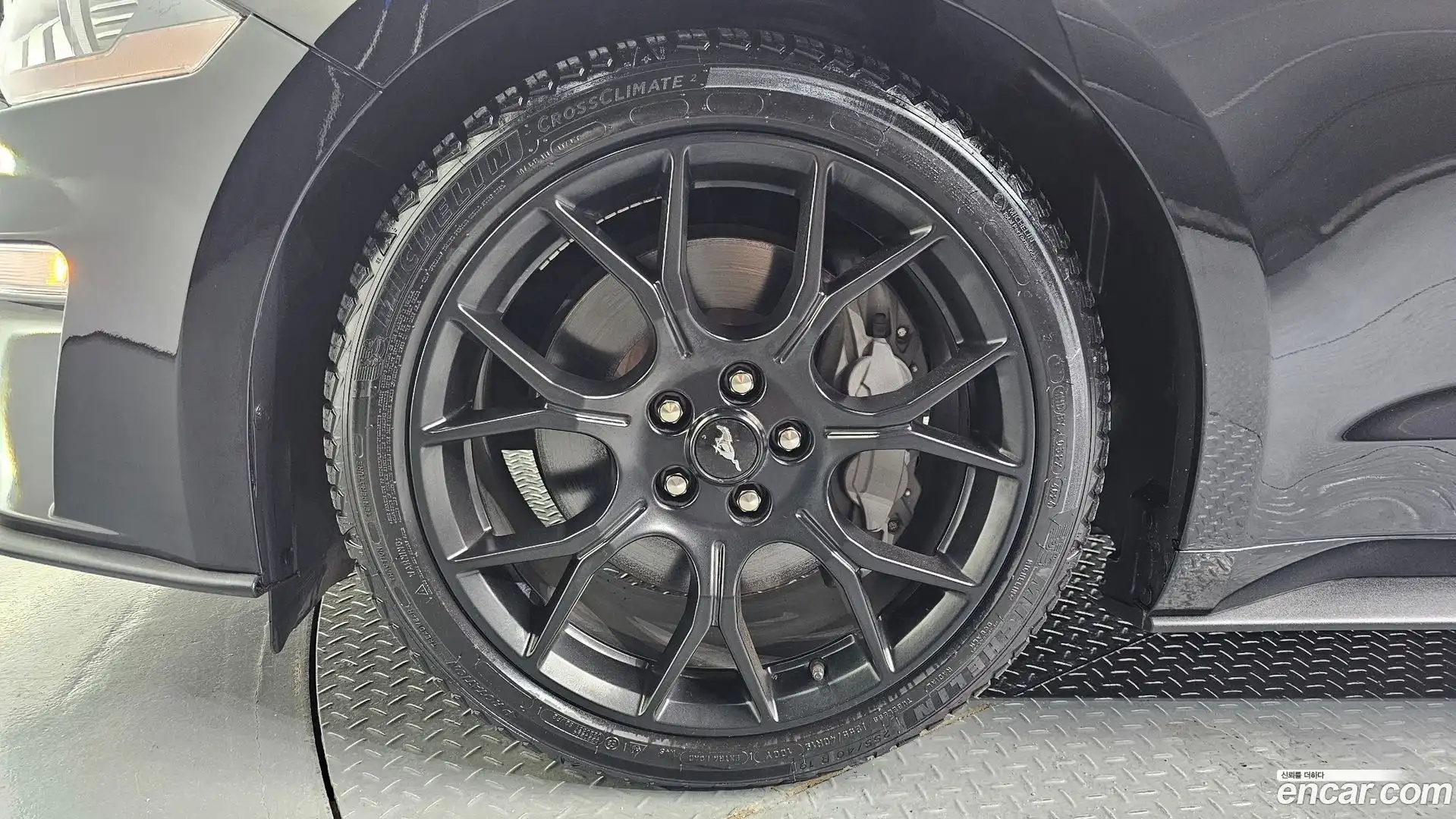Mustang Ford 2022.7-OUTER-005