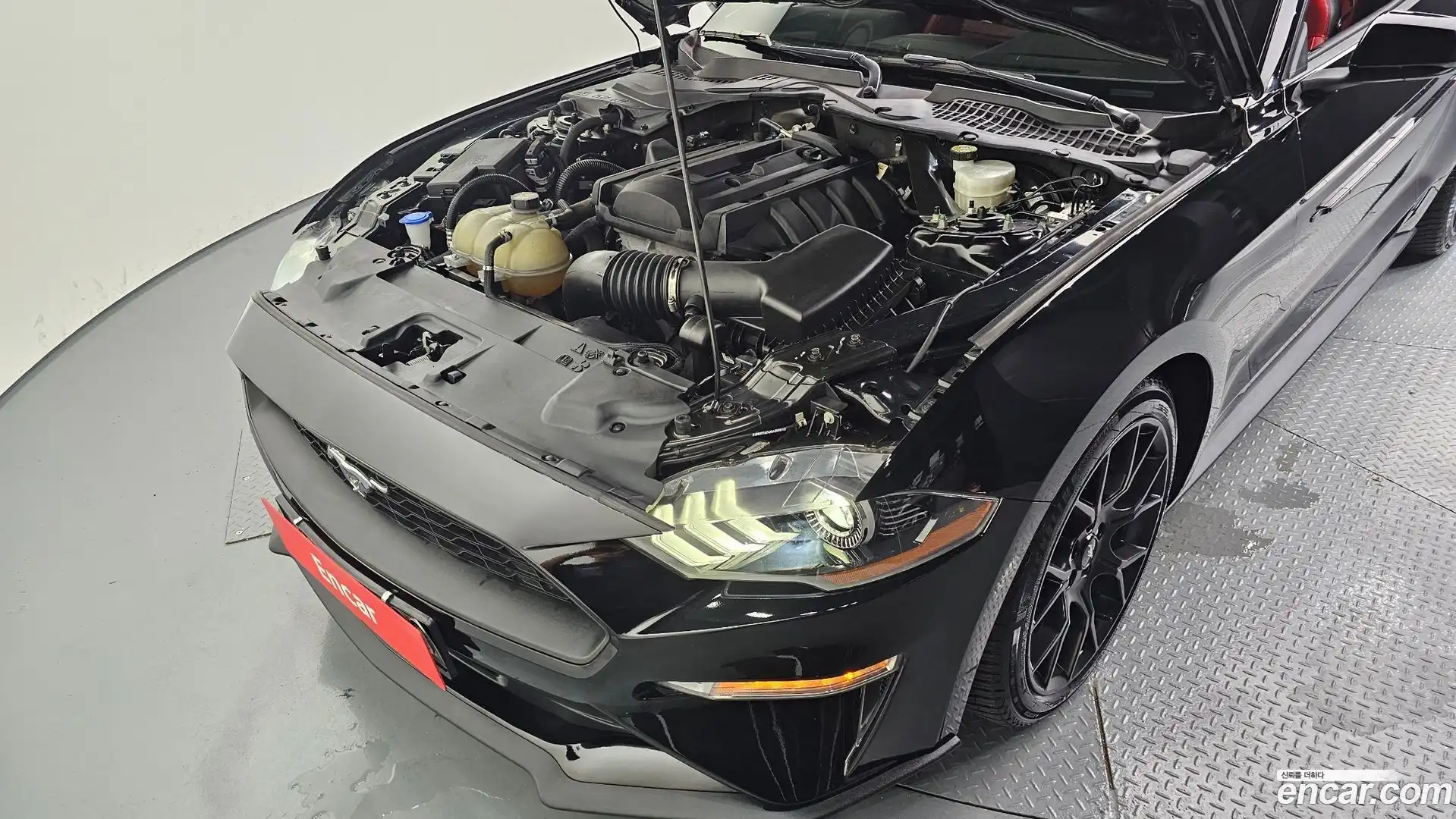 Mustang Ford 2022.7-OUTER-006