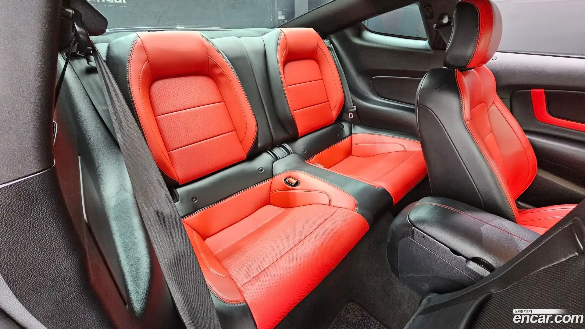 Mustang Ford 2022.7-OPTION-016