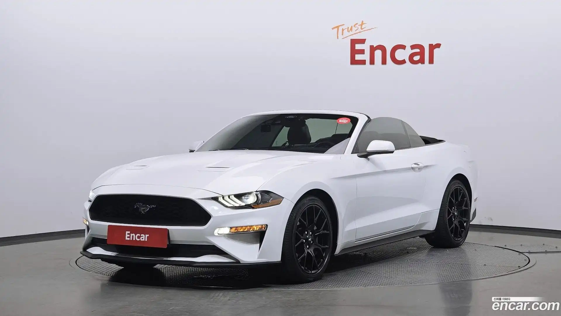 Mustang Ford 2021.11-OUTER-001