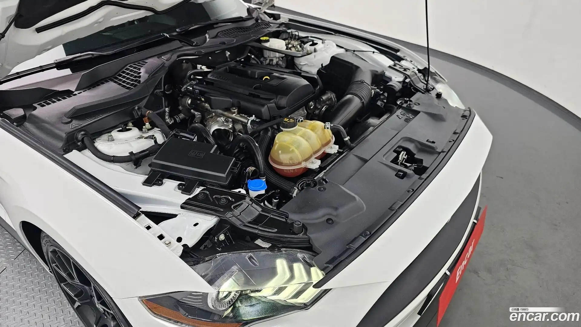 Mustang Ford 2021.11-OUTER-006