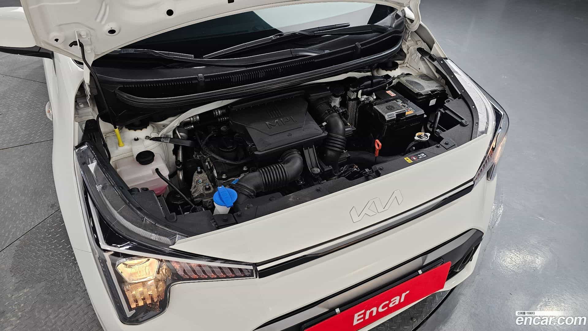 morning Kia 2025.4-OUTER-006