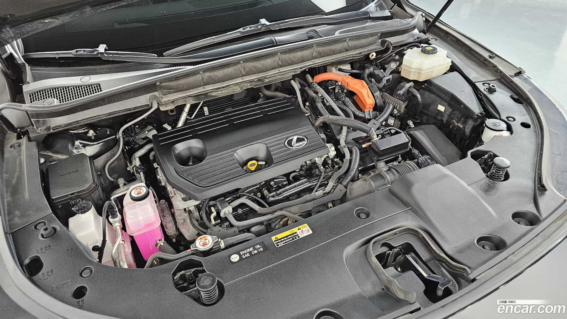 RX Lexus 2023.9-OUTER-006