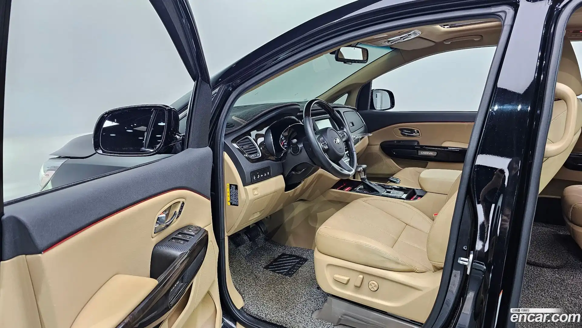 Canival Kia 2019.3-INNER-010