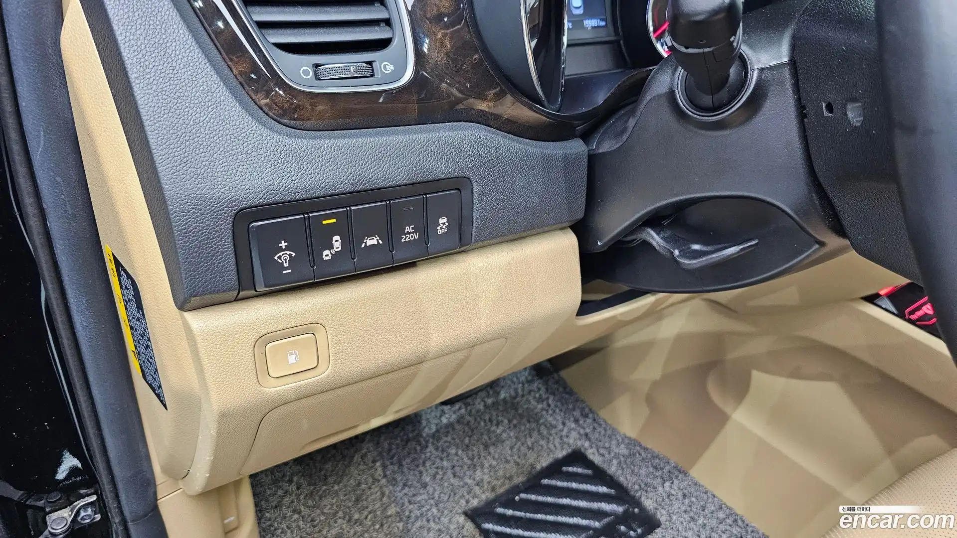 Canival Kia 2019.3-OPTION-017