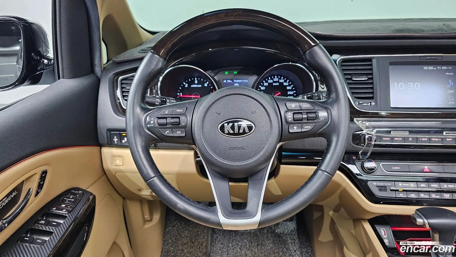 Canival Kia 2019.3-OPTION-018