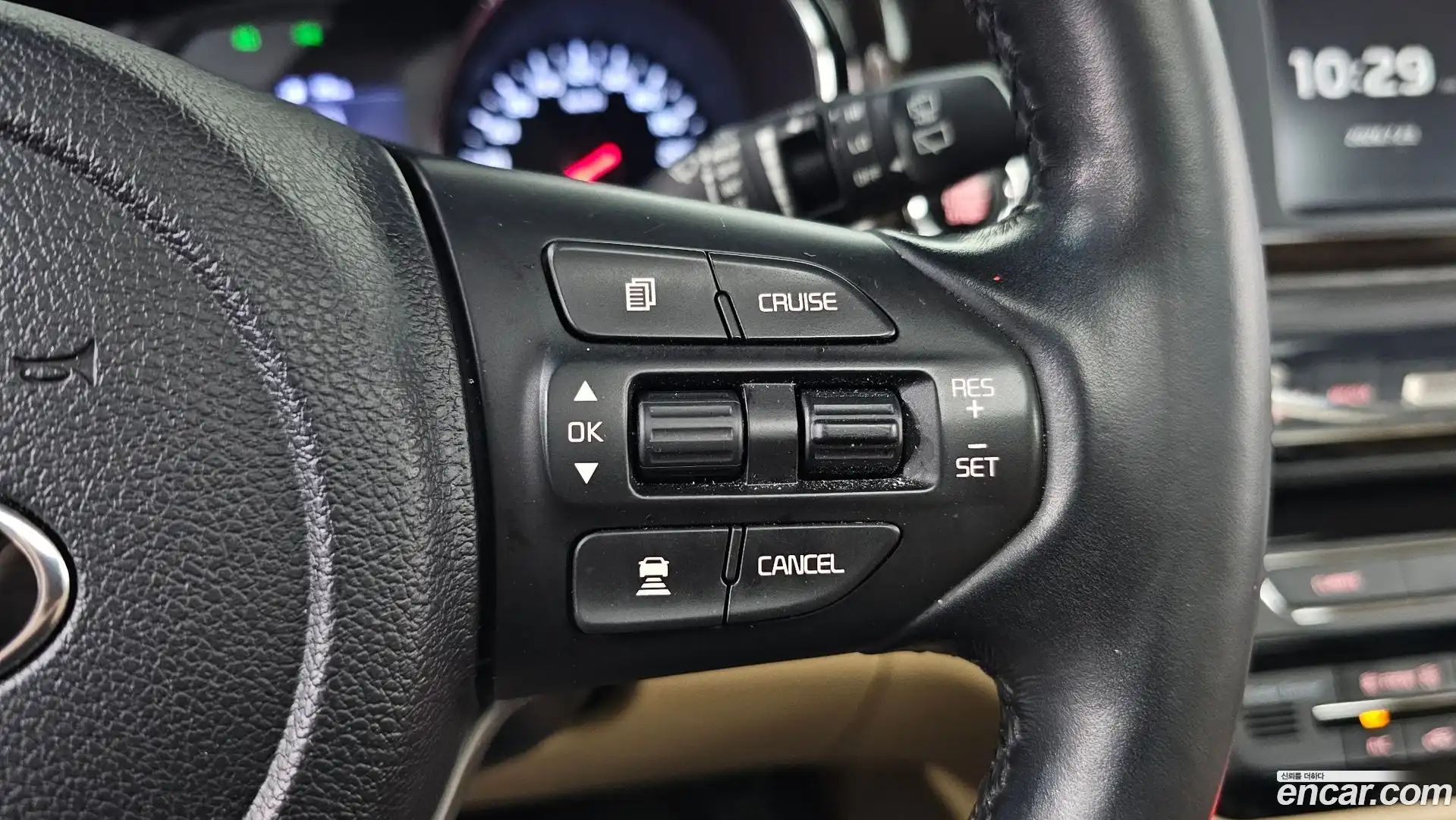 Canival Kia 2019.3-OPTION-020