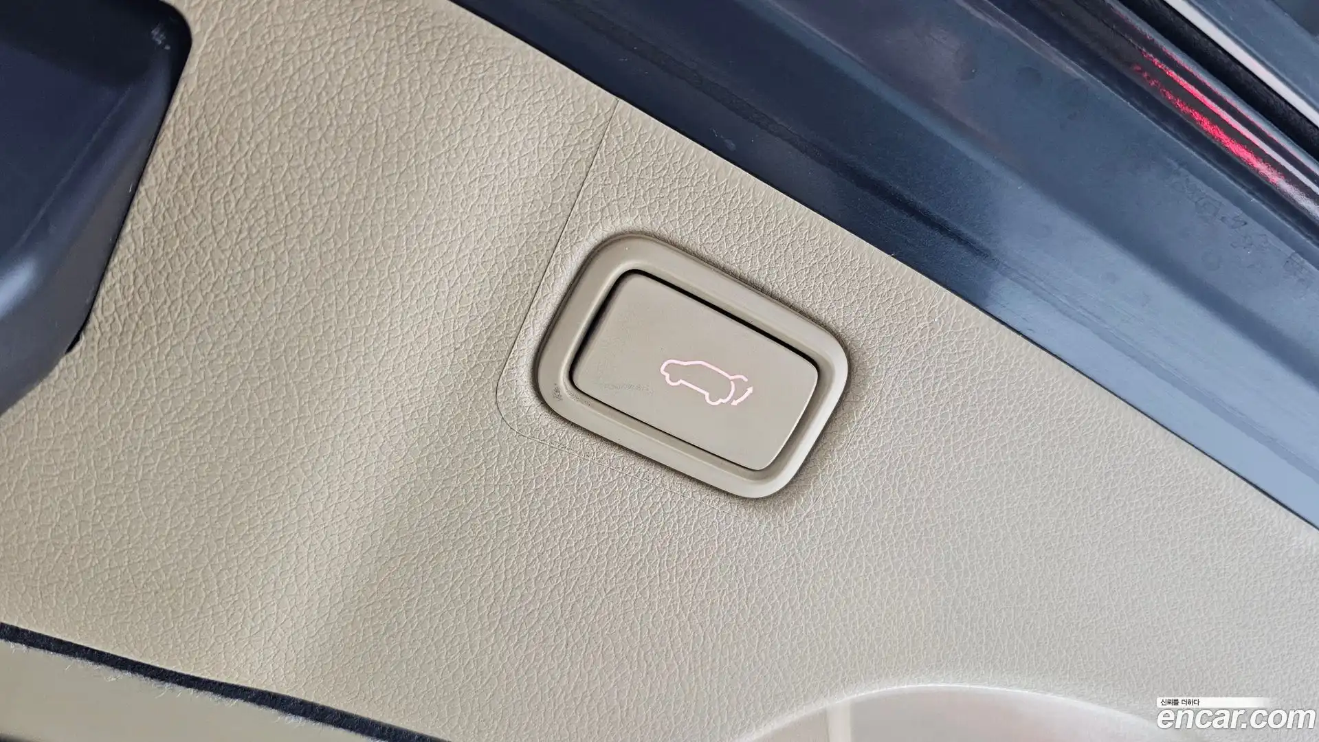 Canival Kia 2019.3-OPTION-022