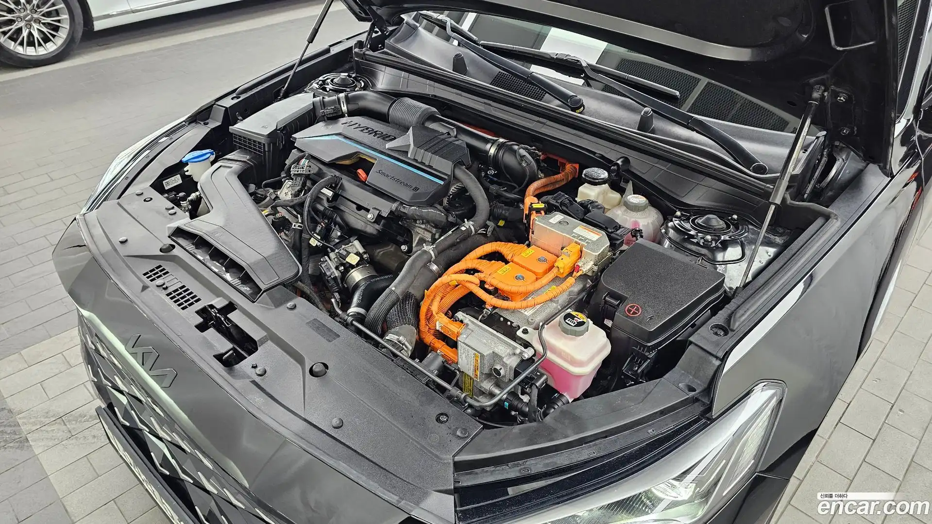 K8 Kia 2022.5-OUTER-006