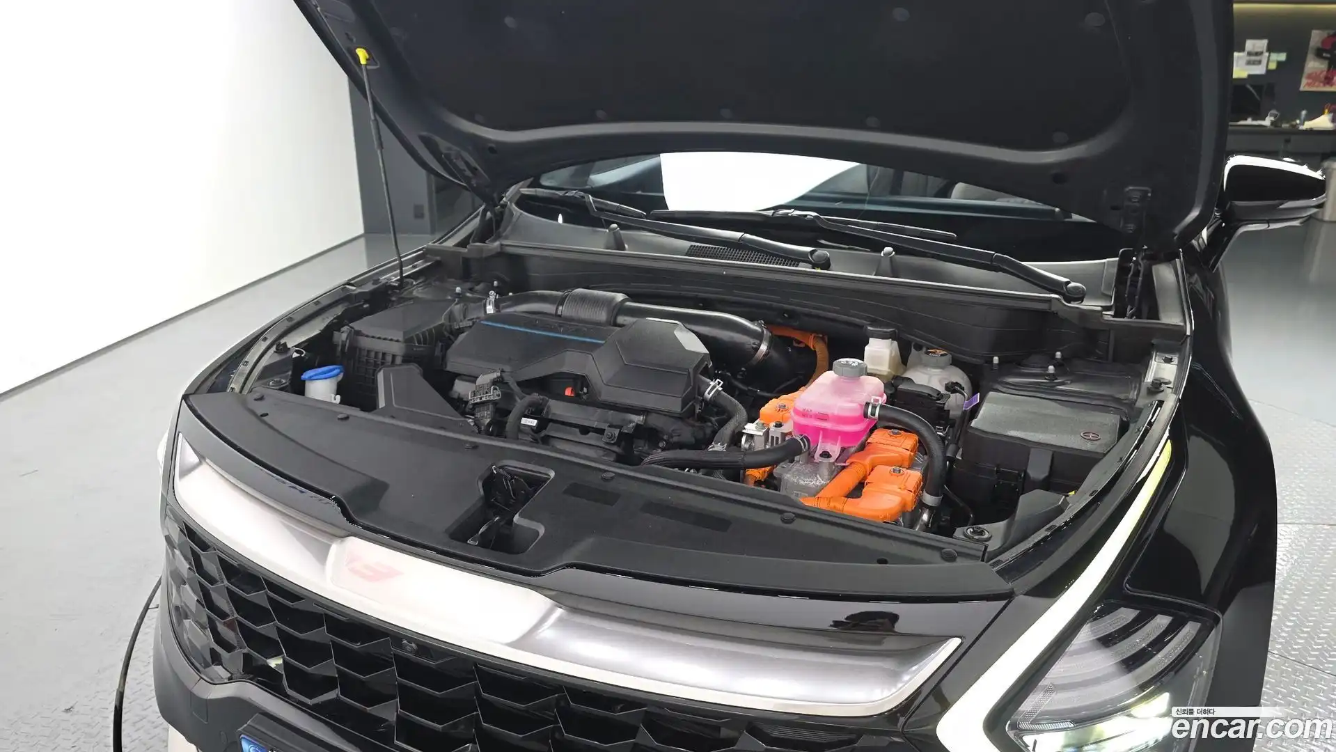 Sportage Kia 2021.8-OUTER-006