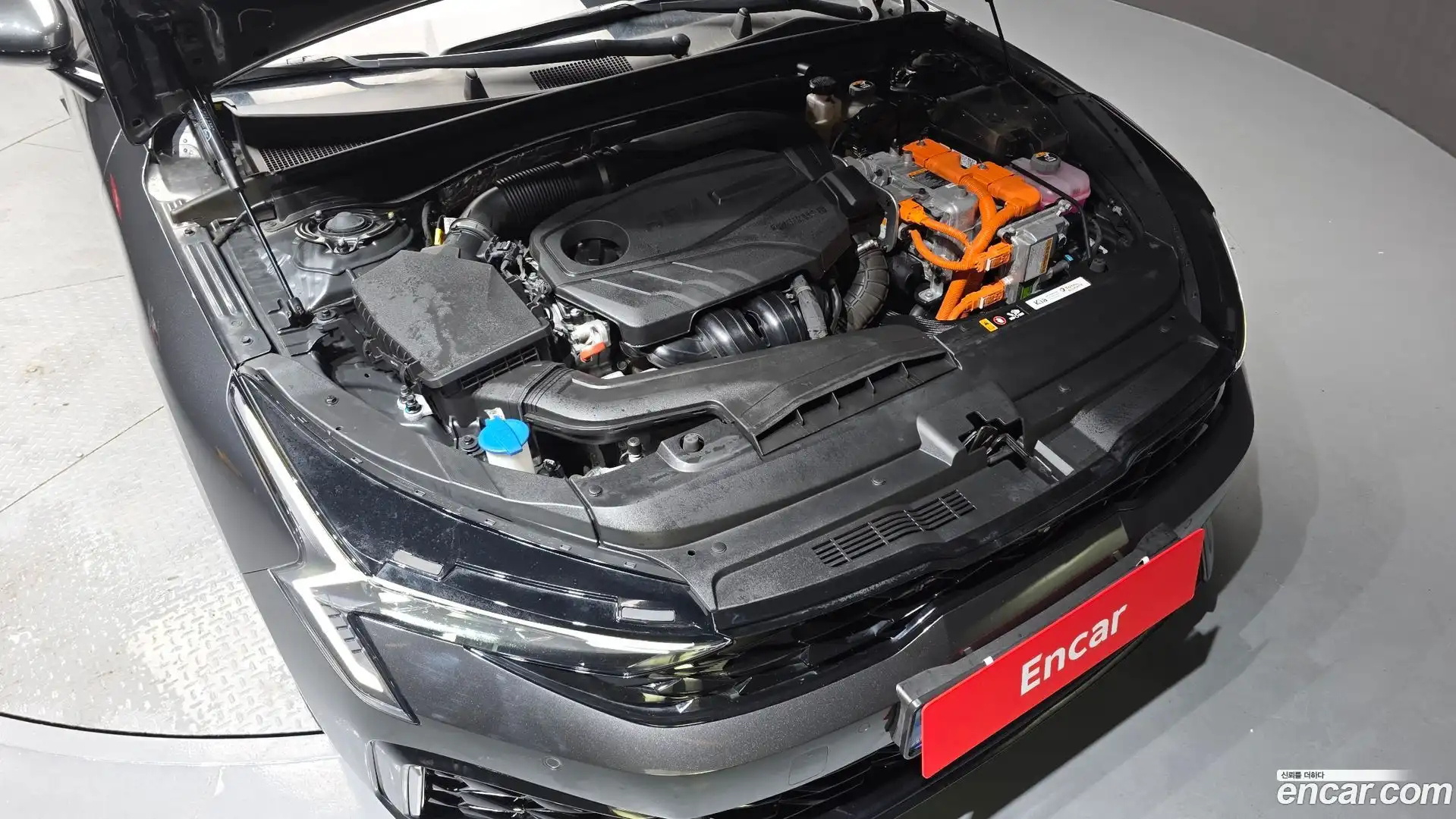 K5 Kia 2024.0-OUTER-006
