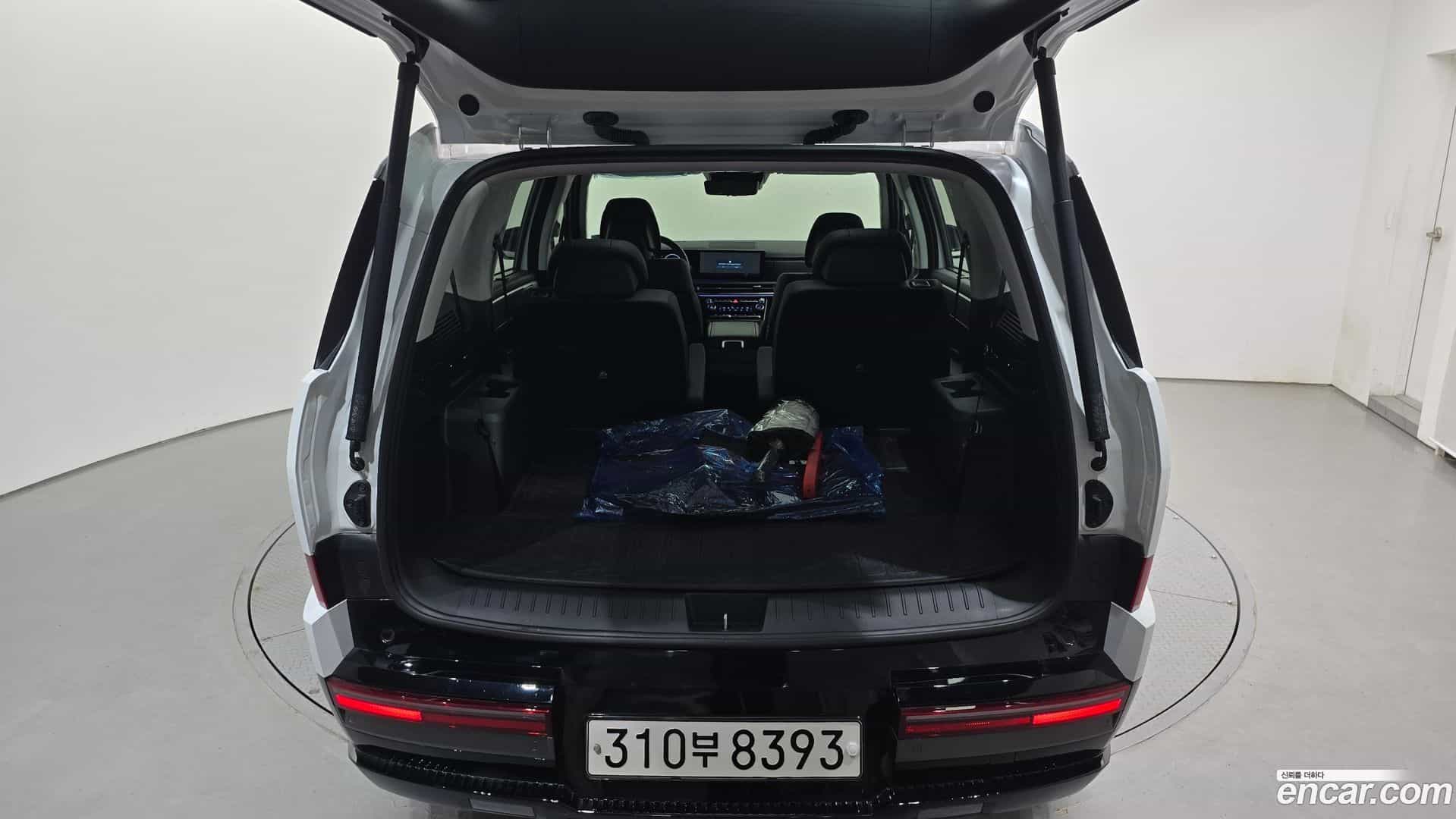 Santafe Hyundai 2024.6-OPTION-049