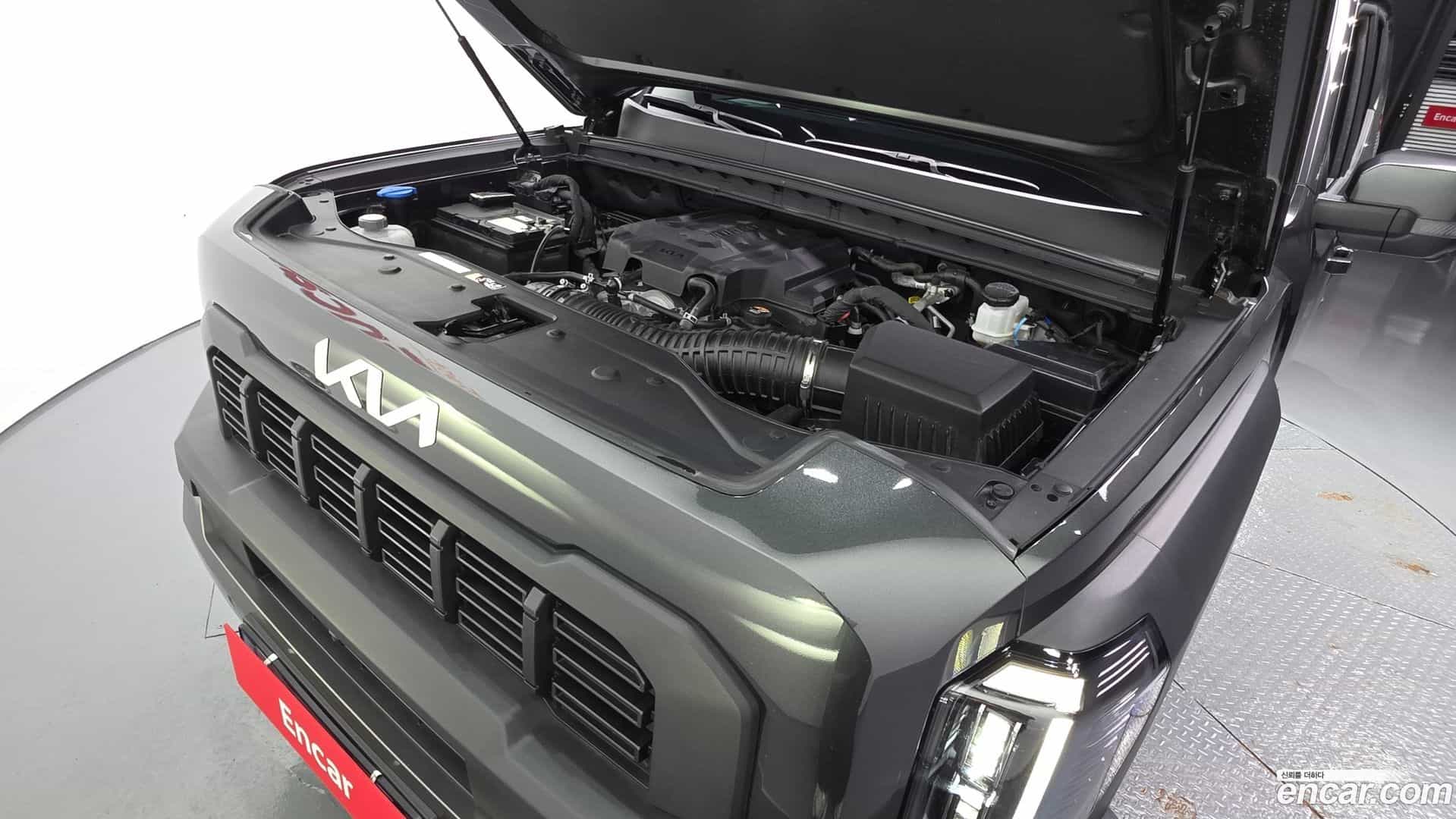 Tasman Kia 2026.0-OUTER-006