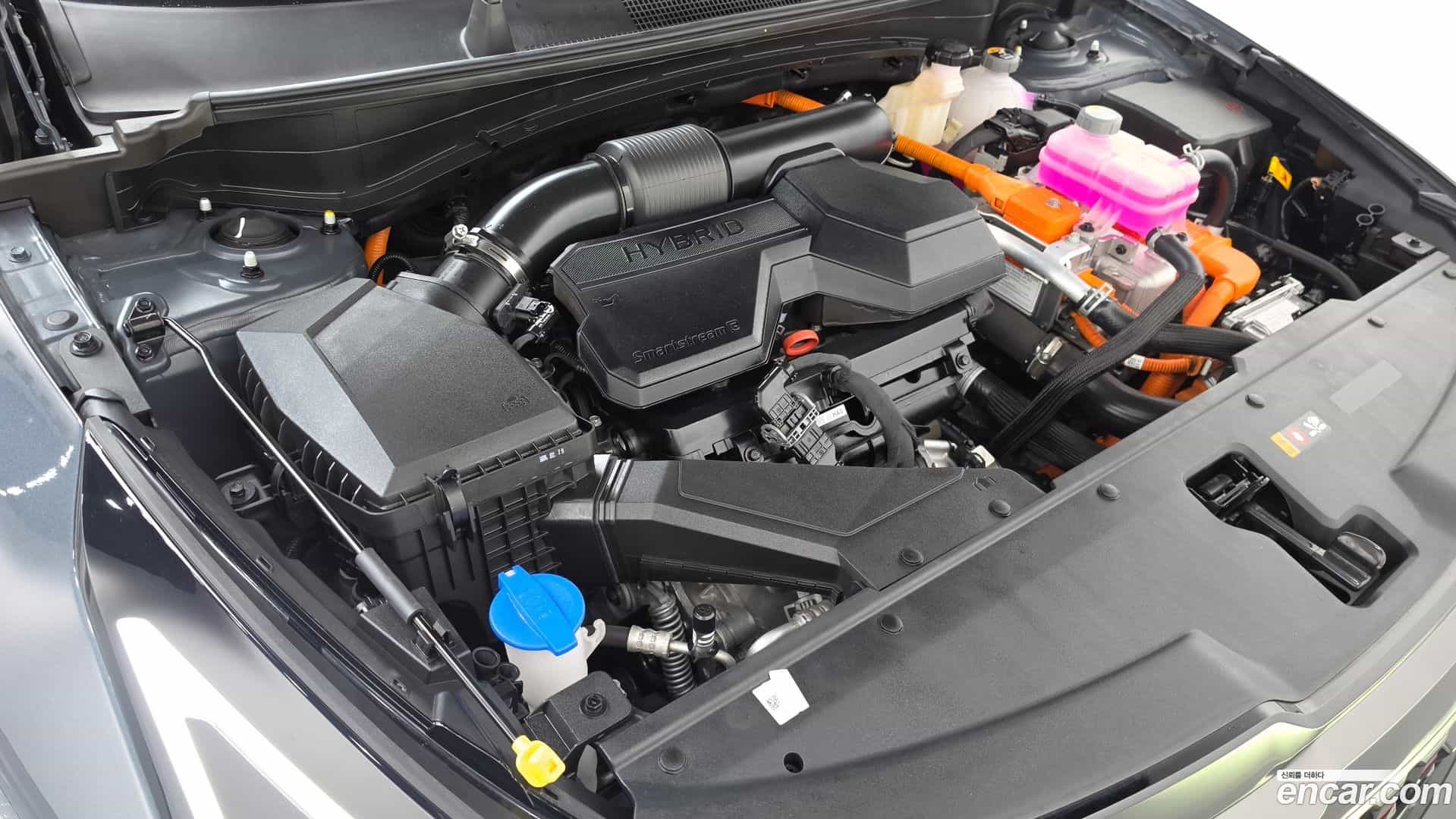 Sportage Kia 2025.2-OUTER-006