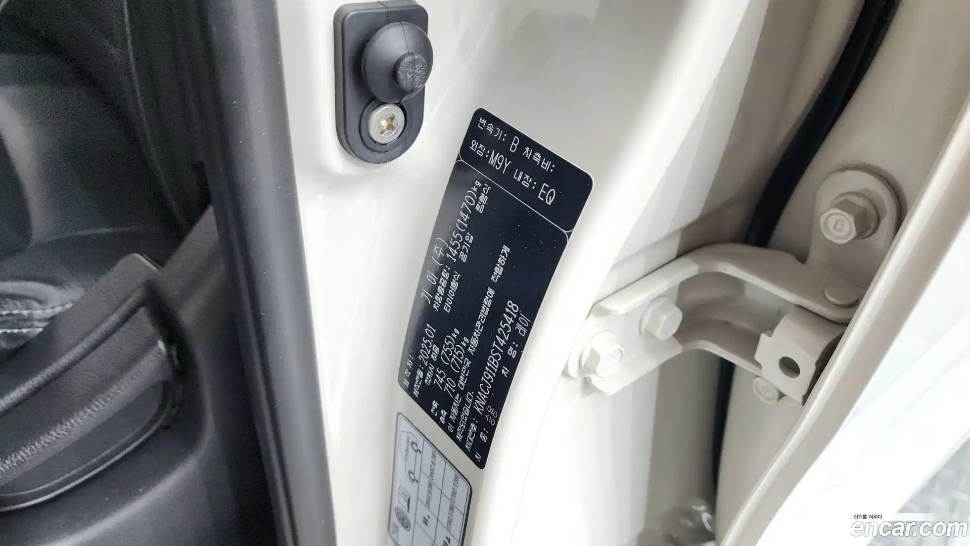 RAY Kia 2025.0-OPTION-024