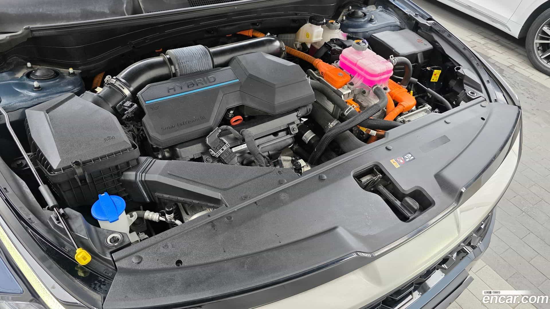 Sportage Kia 2022.5-OUTER-006